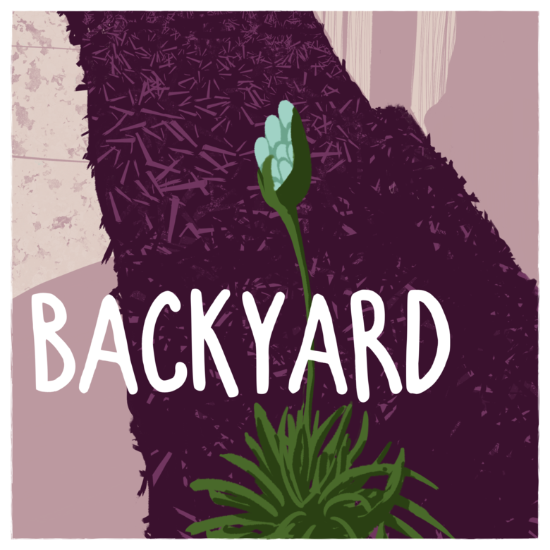 Backyard, title page
